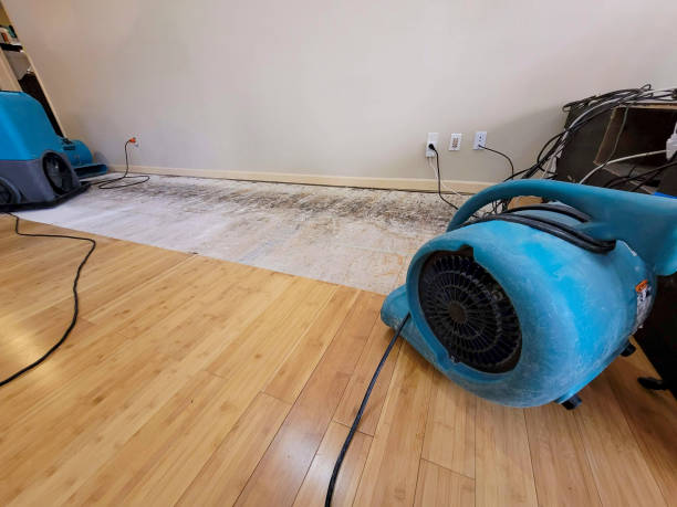 Professional Water Extraction technician working in Mission Hills, CA